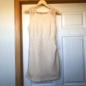 Medium Filly Flair Lace Dress